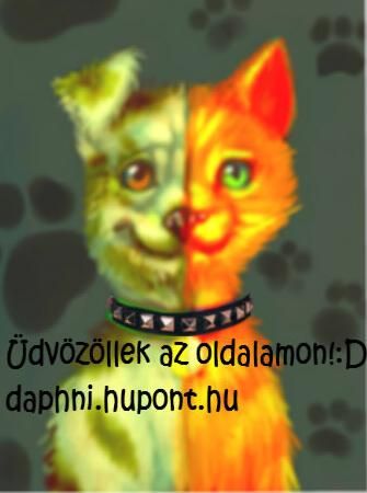 dogcat_by_sukeile-d3adpd6.jpg